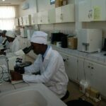 Cameroun : les chercheurs menacent d’entrer en grève